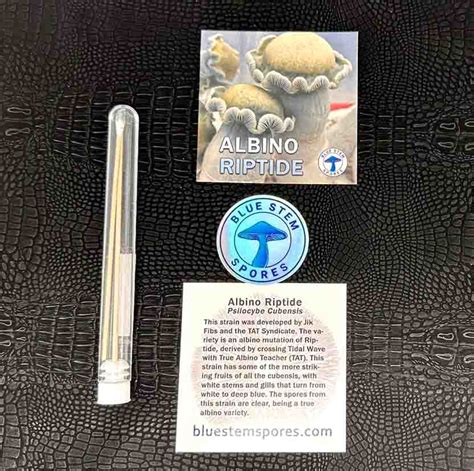 buy albino riptide spores 00 Package contains a 10ml syringe of Albino Riptide culture research liquid, sterile prep pad, 18G needle, and tracking info